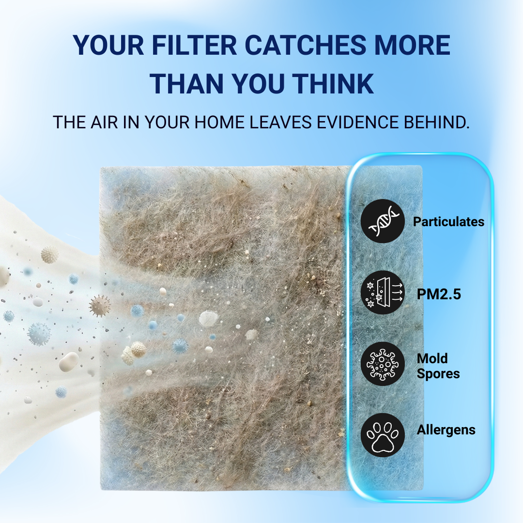 Air filter with particulates, PM2.5, mold spores, and allergens icons on a blue background.